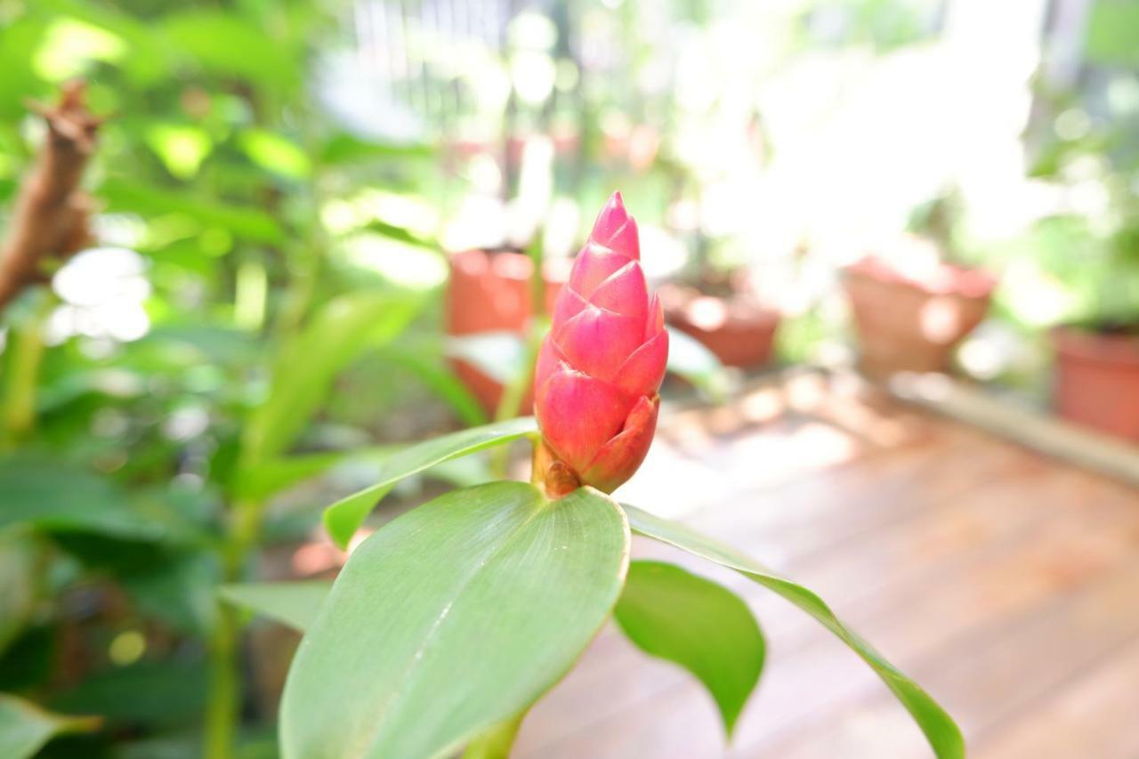 Mon Lodge & Yoga Donmueang Bangkok Exterior photo